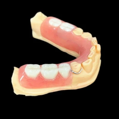 Gigi Tiruan Resin Akrilik